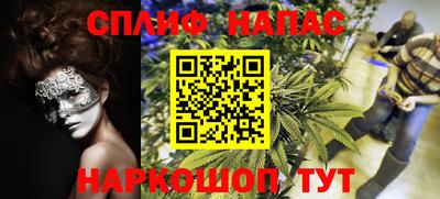 прущие крисы Краснознаменск