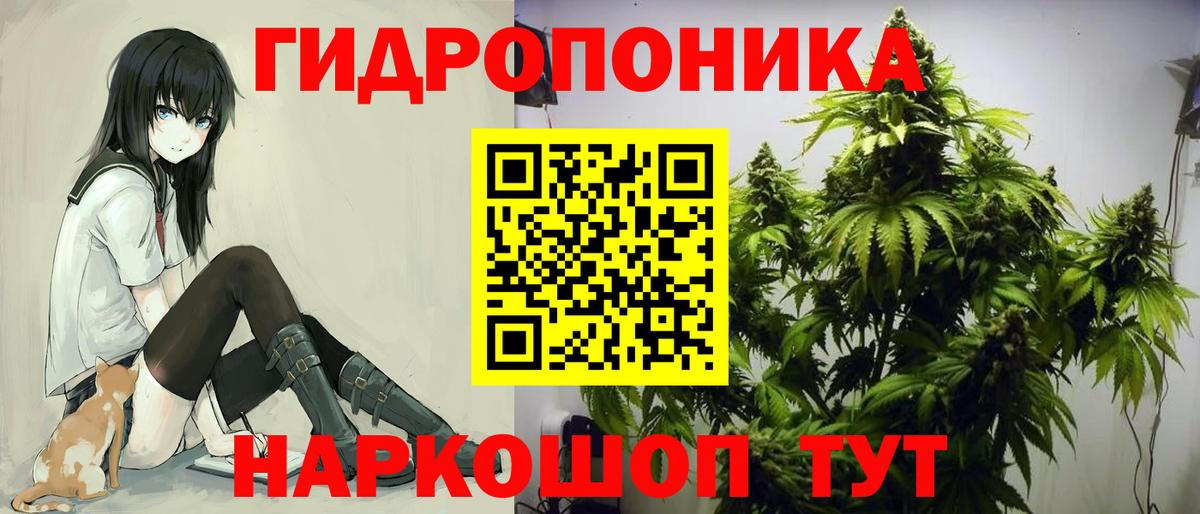 Шишки марихуана OG Kush Чебаркуль